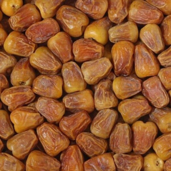 Sukkari Saudi Dates